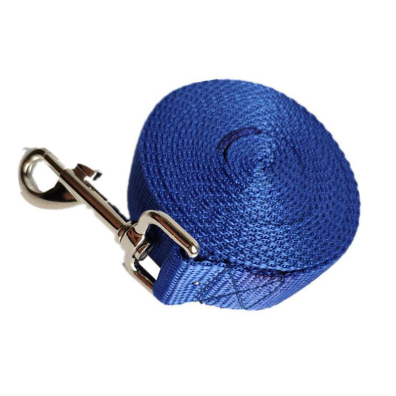 Pet Nylon 2.5 Cm Wide Leash
