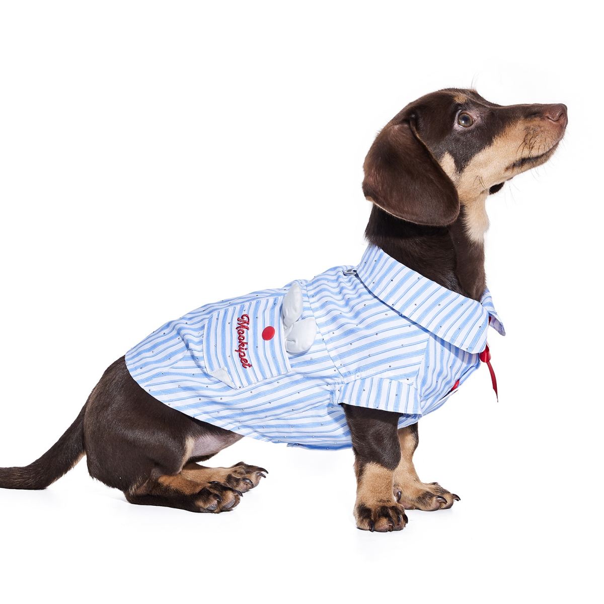 Schnauzer Pet Summer Thin Shirt Cute