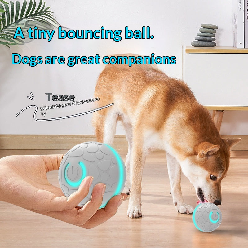 Smart Bouncing Ball Electric Charging Cat And Dog Toy Pet Dog Toy Ball