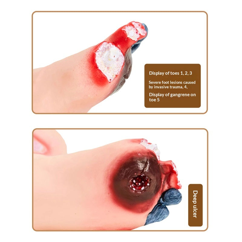 PVC Foot Care Training Model Tool