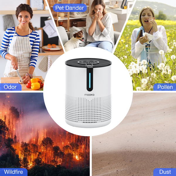 Amazon&TEMU  Prohibited,No Weekend Orders.  MOOKA 475Sq.ft Air Purifier Cleaner HEPA Filter Remove Odor Dust Mold Home Allergies Smog