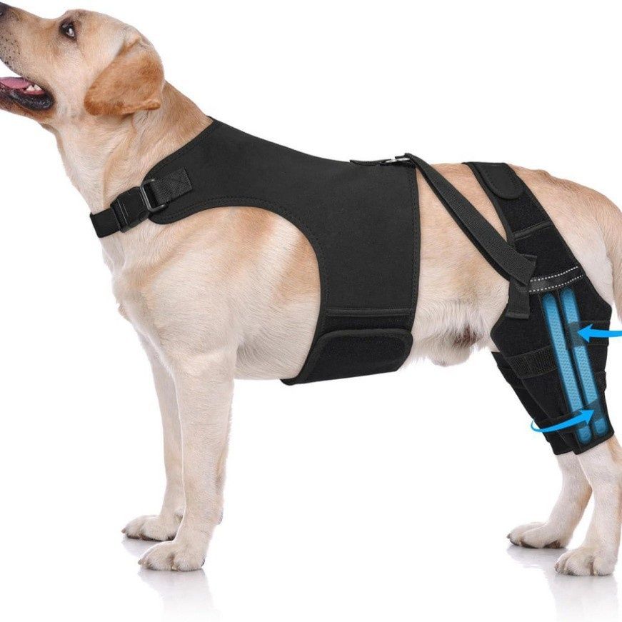 Pet Dog Gear Rear Back And Hind Leg Dual Protector Protective Cover