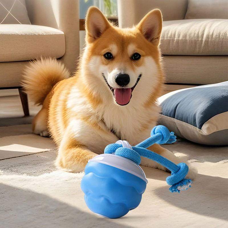 The Chase Buddy Dog Boredom Stimulating Toy  Smart Pet Puppy Ball With Ropes