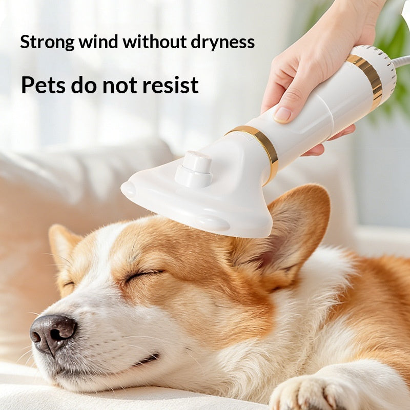 High-Power Hair Dryer For Pets