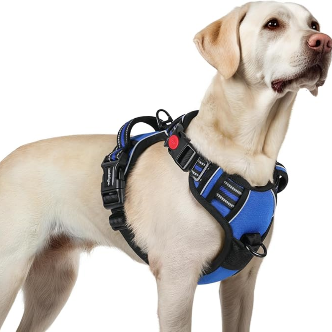 Dog Harness For Large, No Pull Easy On & Off With 3 Buckles Pet Harness, Adjustable Soft Walking Vest With 2 Clips And Handle, Reflective For Large Dogs, Blue, L