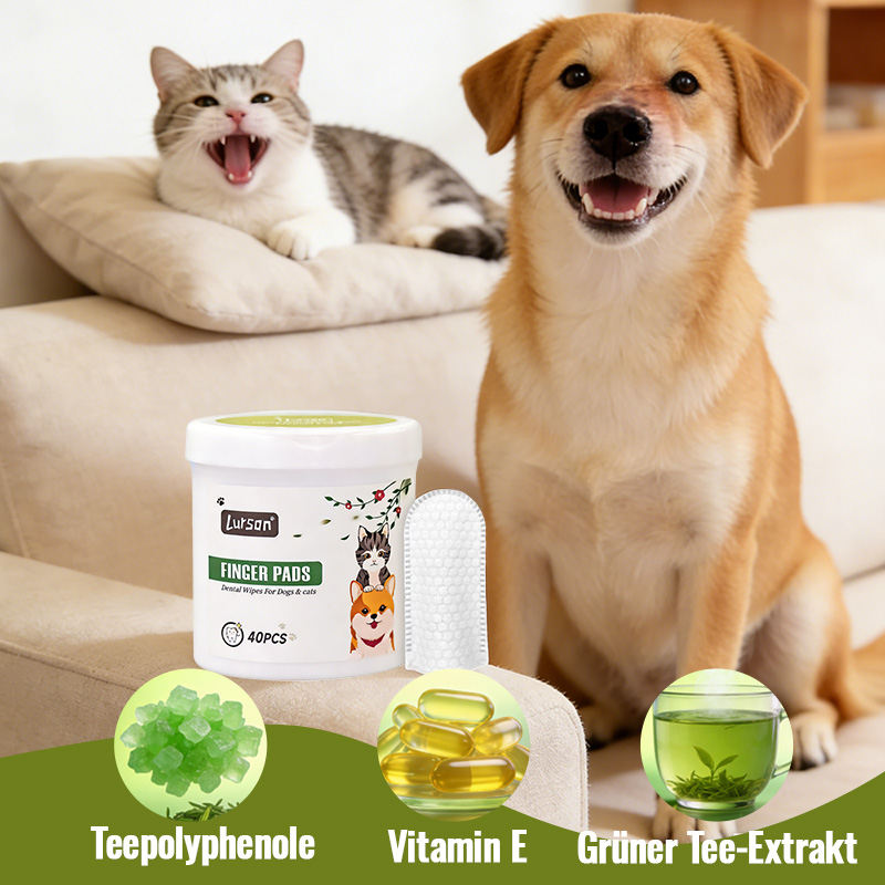 Pet Antibacterial Tooth Cleaning Cap