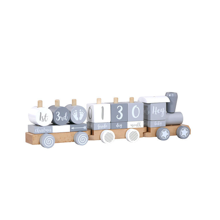 Fashion Small Train Early Education Wooden Toys