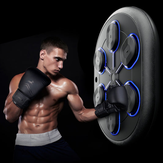 Smart Music Boxing Rhythm Wall Target Hanging Training Equipment