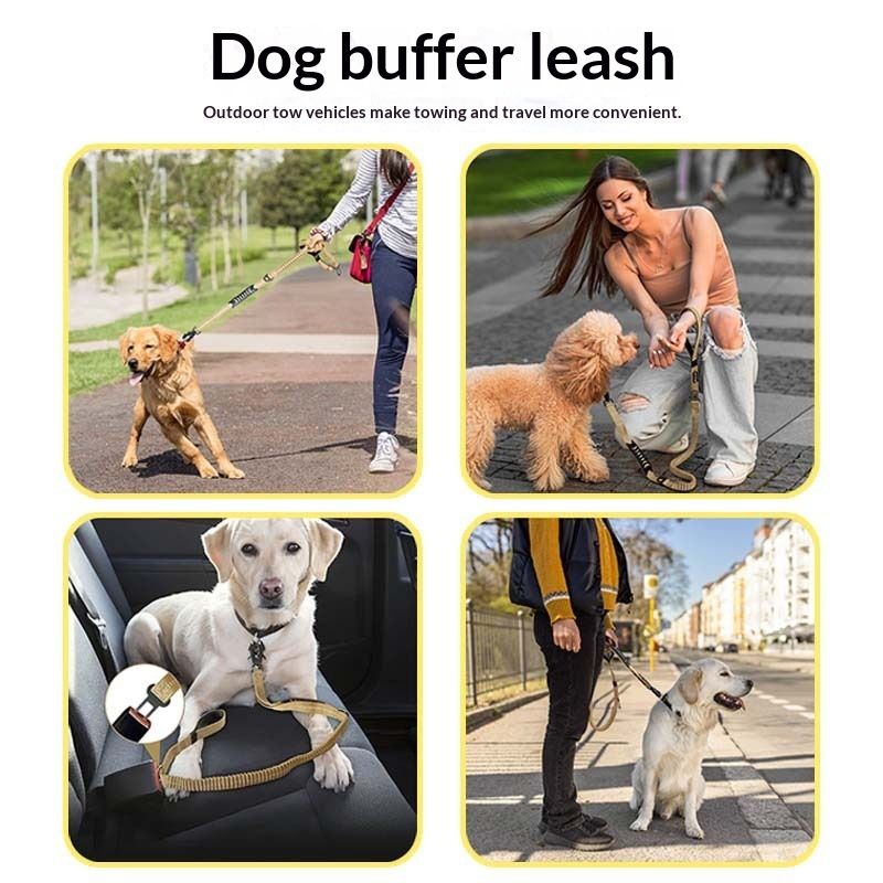 Multi-functional Pet Leash With A Frog Buckle