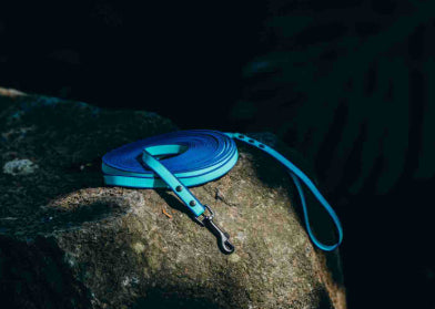 Best-selling Pet Product PVC-embossed Extended Leash
