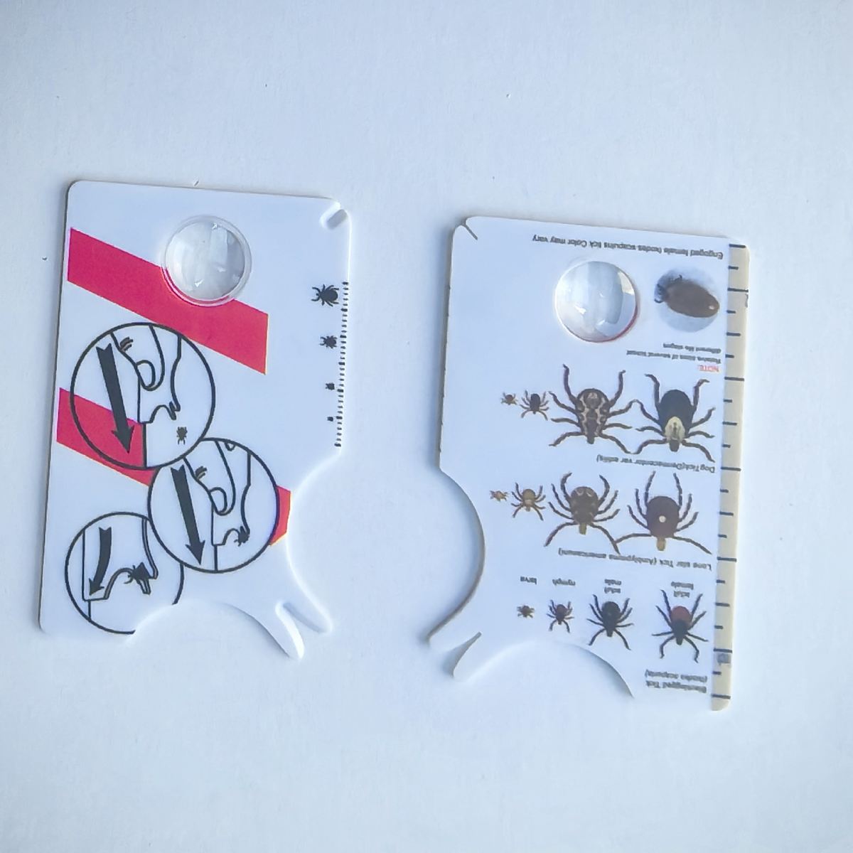 Household Pet In Vitro Insect Catching Card