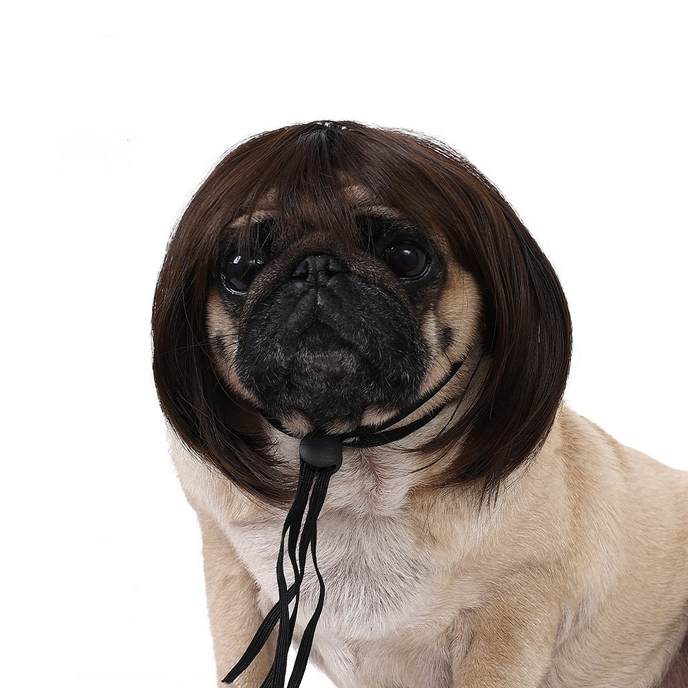 Halloween Pet Wig For Curly Or Straight Hair
