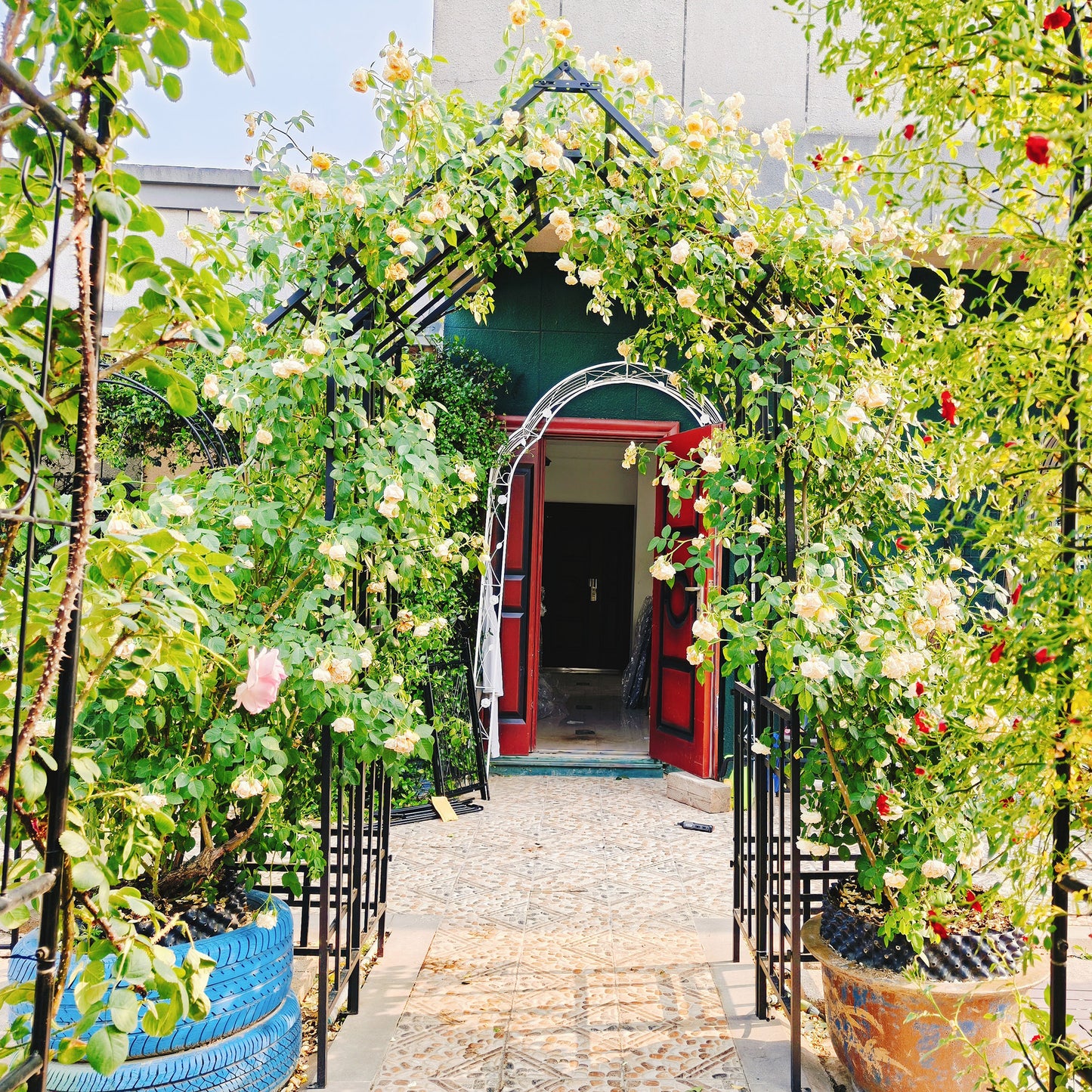 Metal Garden Arch With Adjustable Width W42.52  -W78.15    Climbing Plants Support Rose Arch Outdoor Black