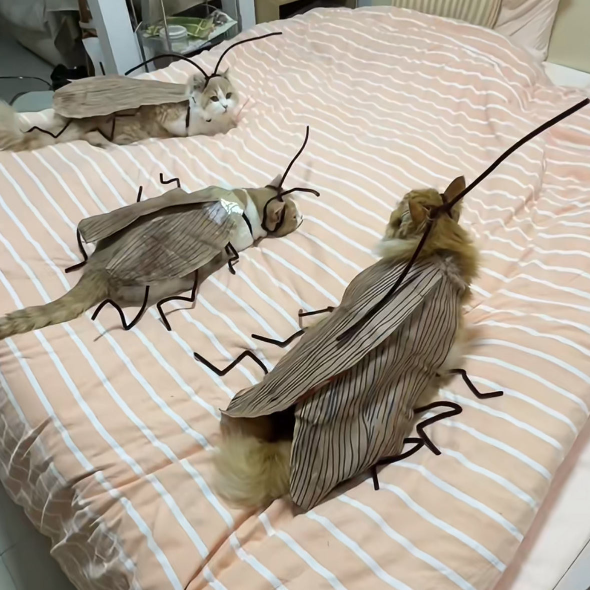 Pet Toy Cockroach Clothes Non-woven Handmade DIY Material Package Kitten Clothes