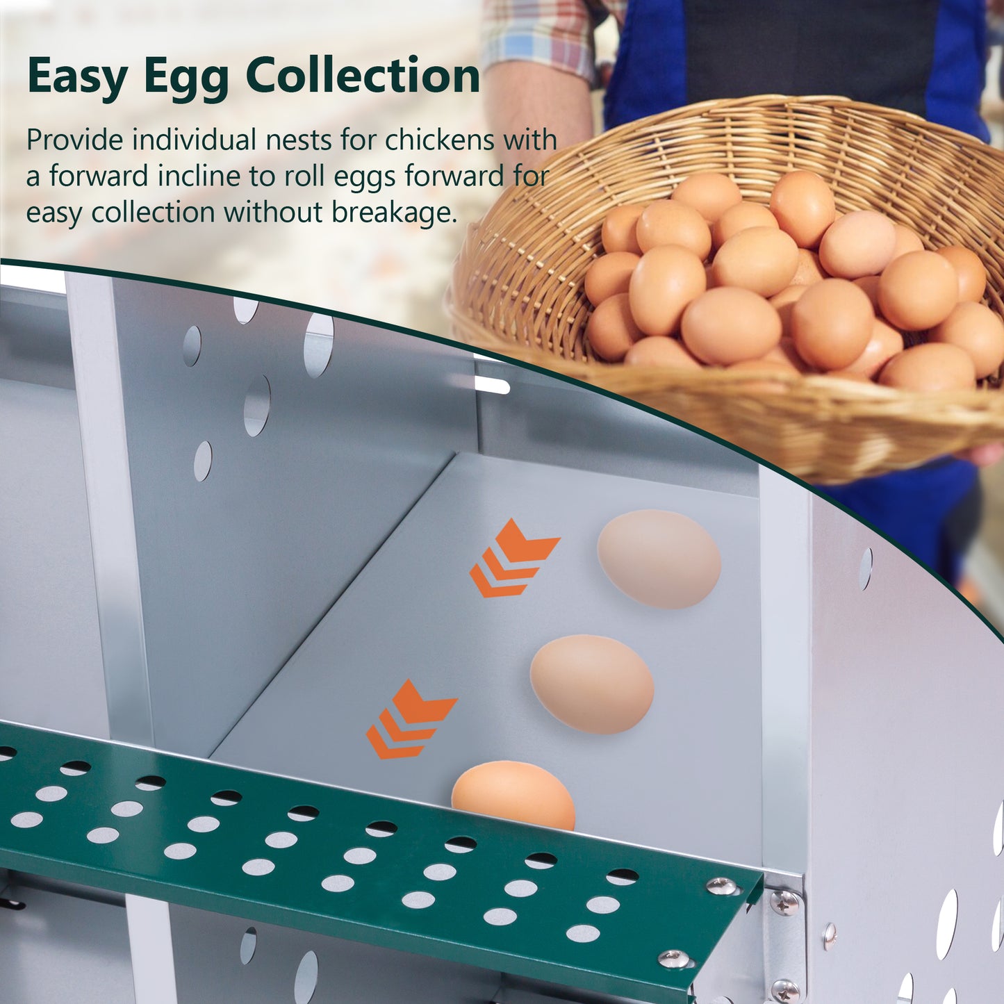 10-Bay Metal Nest Box-Wall Mount For Hens Ducks, Easy Egg  Assembly, Vented Galvanized Steel Coop Equipment Grenn