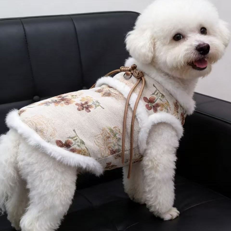 Traditional Chinese-style Vintage-print Pet New Year Outfit