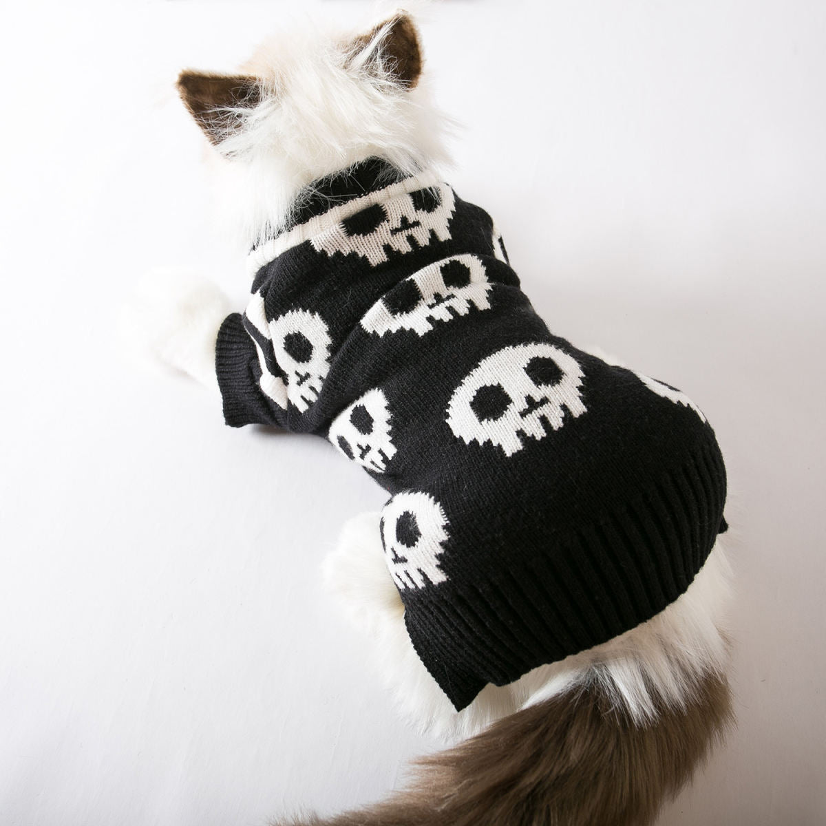Pet Cat Sweater Halloween Skull Knitted Yarn