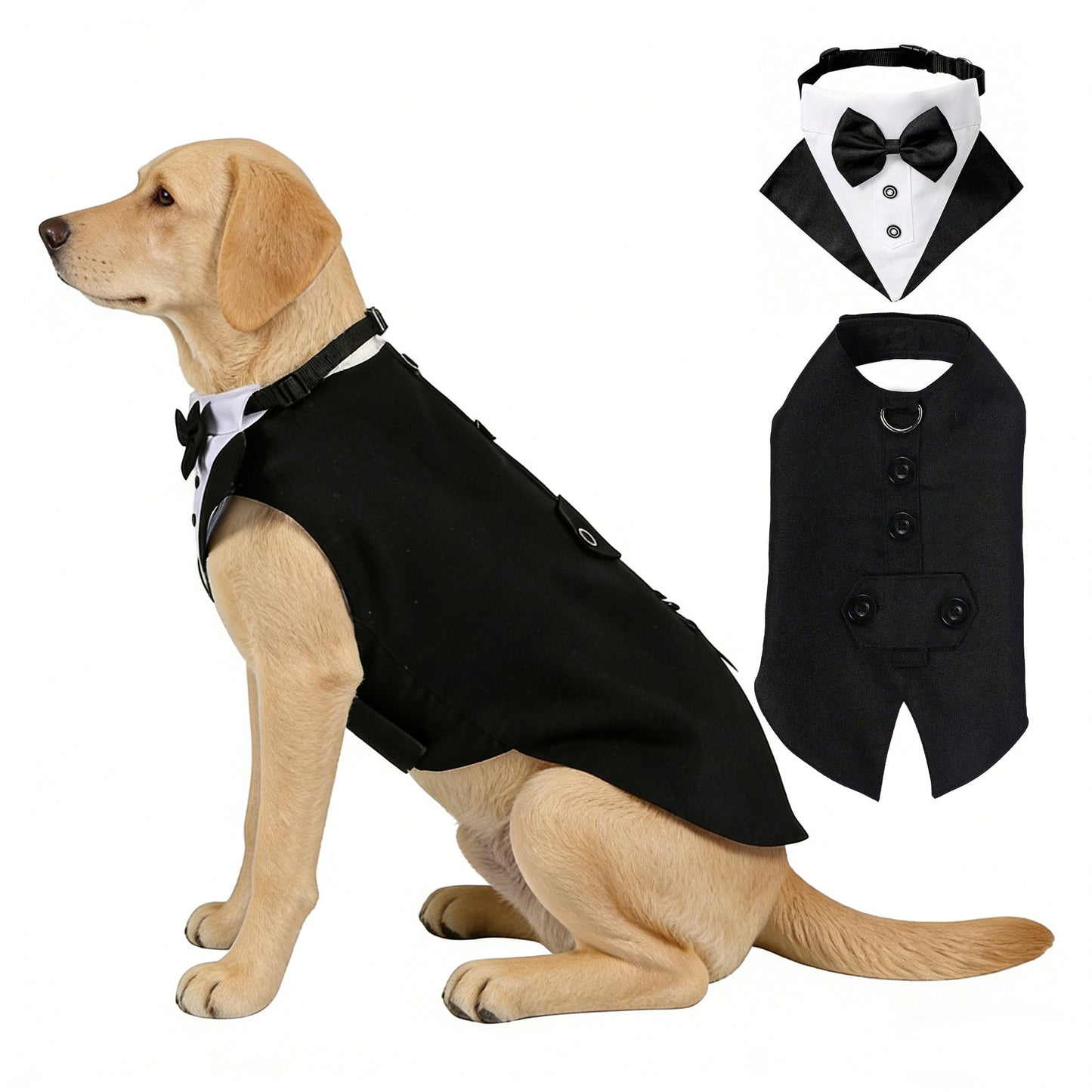 Creative All-Match Pet Clothes And Scarf Set
