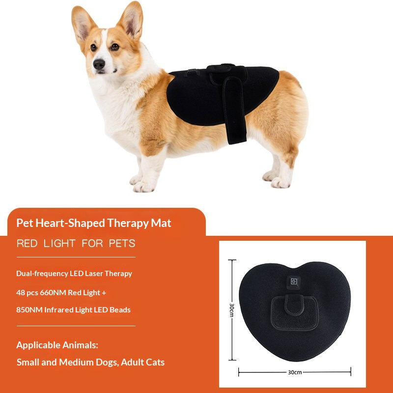 Pet Red Light Physiotherapy Mat For Post-Surgery Recovery Pain Relief And Spinal Care In Cats And Dogs