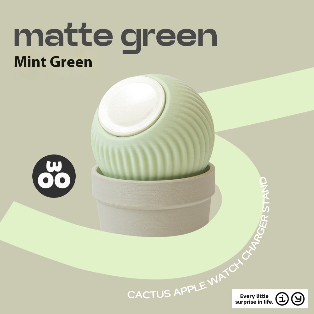 Watch Charging Base Cactus Desktop Succulents Ornaments