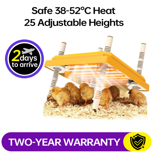 Feeding Heater