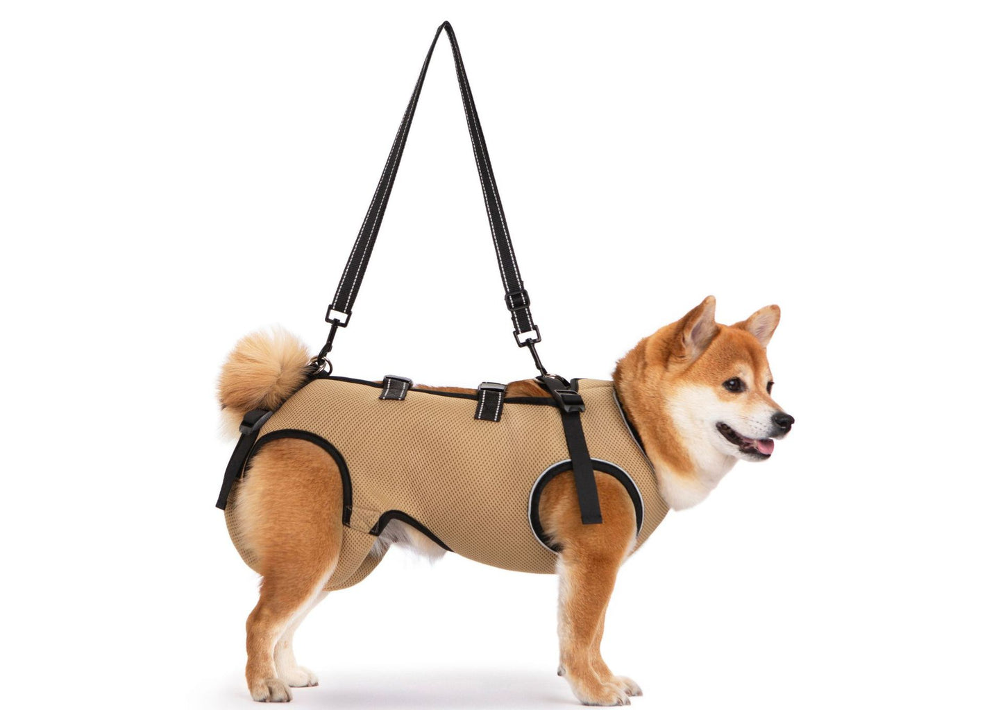 Pet-assisted Clothing For Senior Dogs
