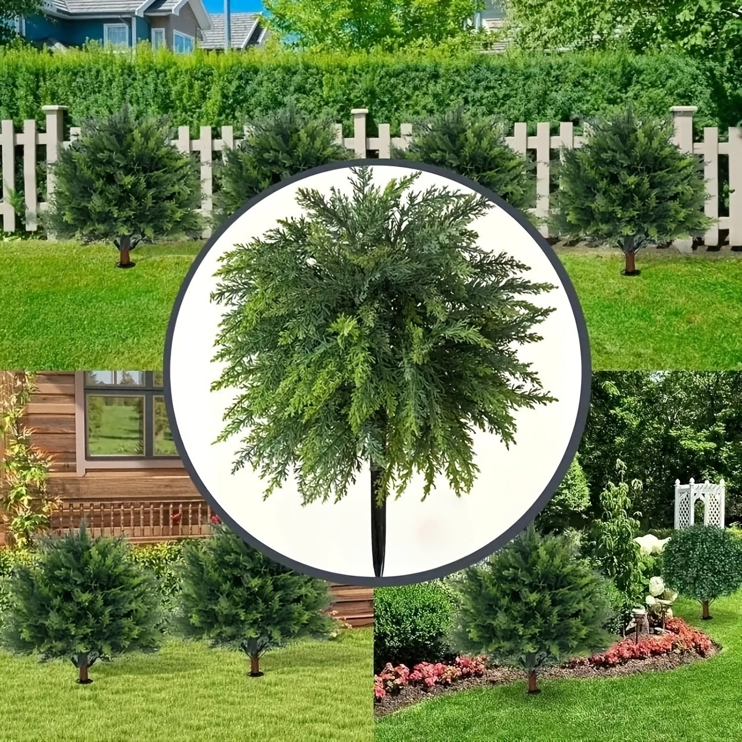 Small Juniper Bonsai For Home Decor Garden Art And Outdoor Use