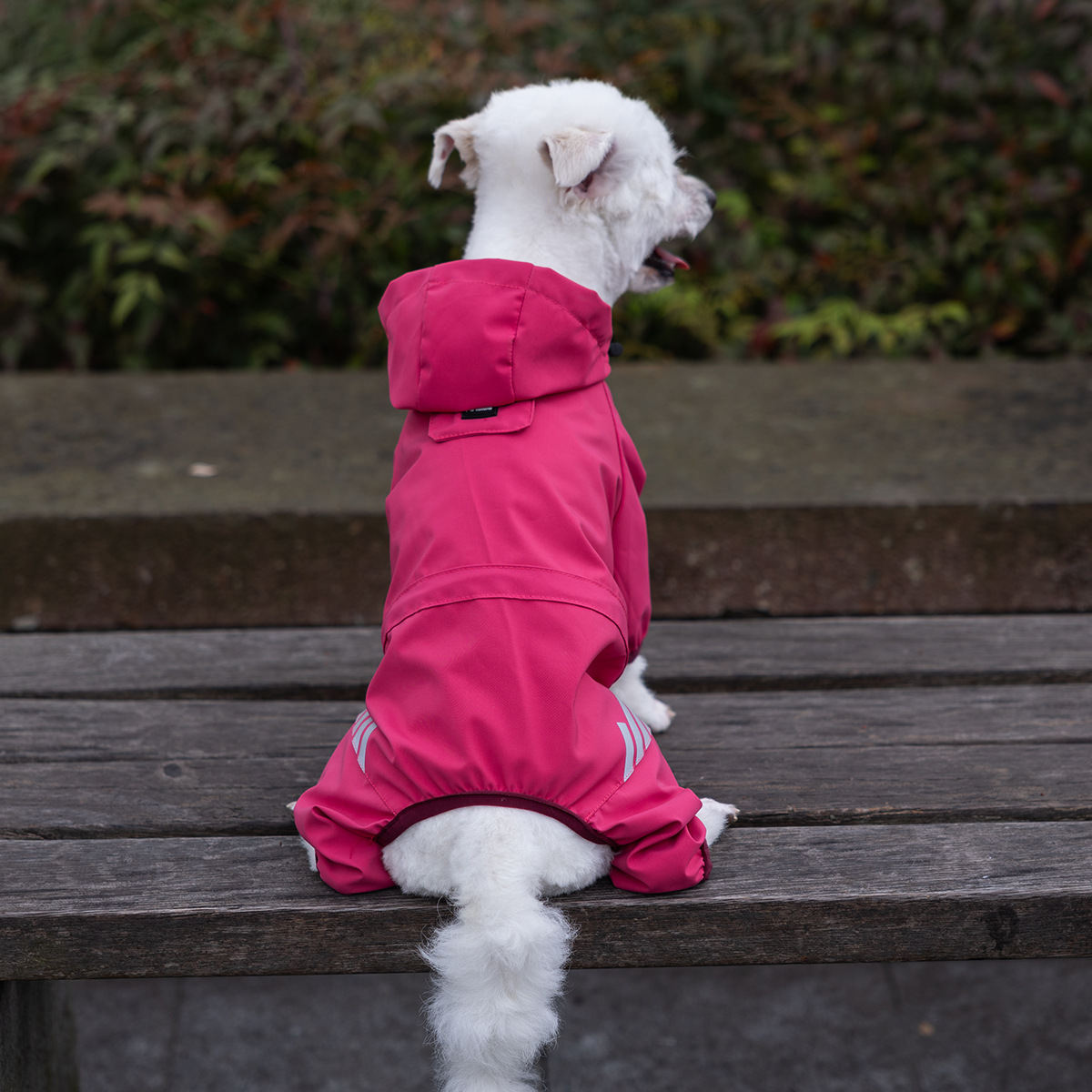 Pet Raincoat Four-legged Waterproof Poncho
