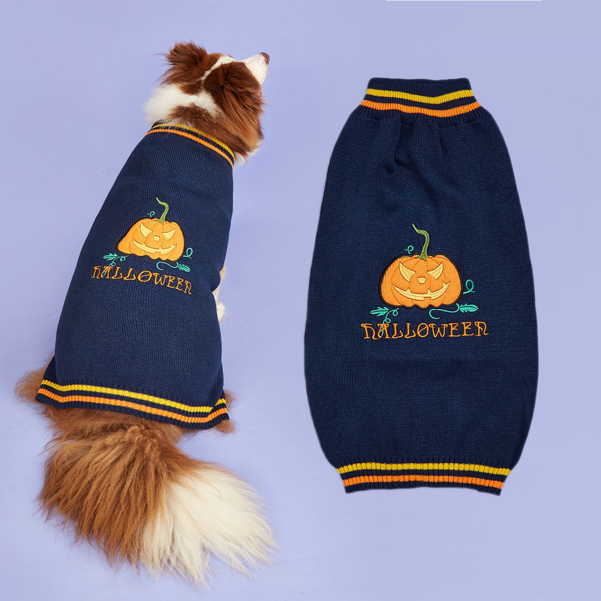 New Halloween Pumpkin Pet Sweater In Blue