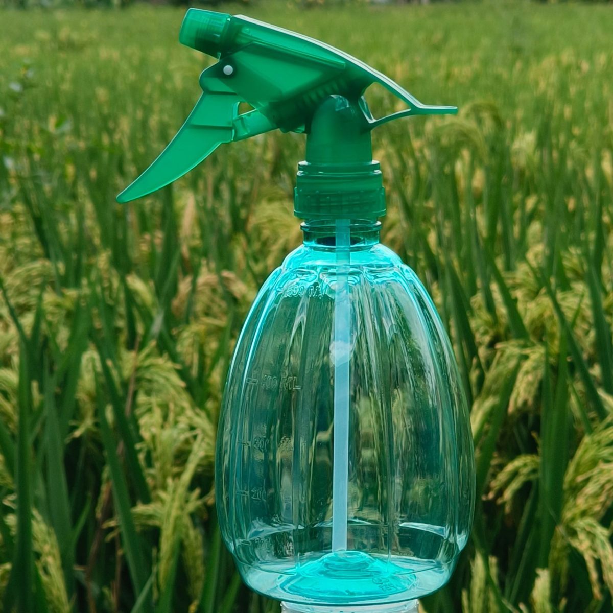 Pumpkin spray can-green-PP+PET-500ml-1 piece