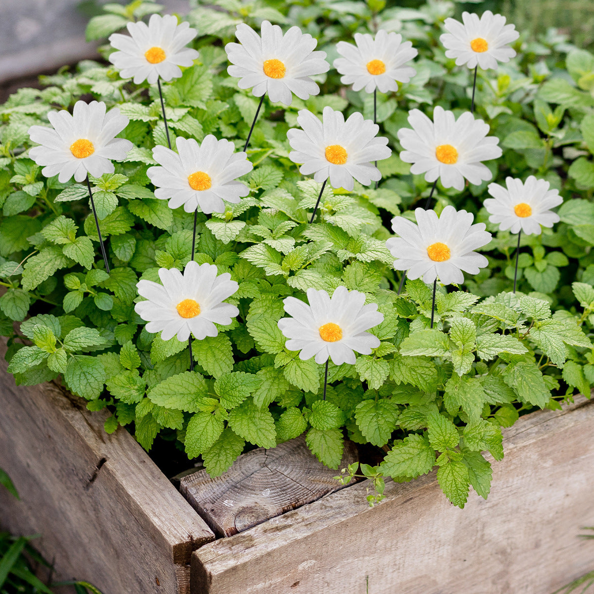 Outdoor Garden Plant Markers And Decorations