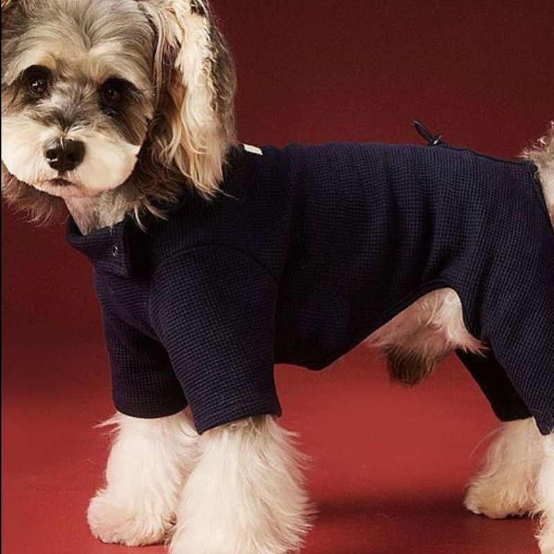 Small Dog Pet Clothes AutumnWinter Four-Leg Base Layer