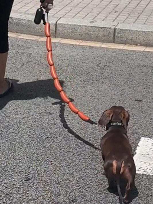 Dog Traction Chain Big Sausages Traction Rope Thick Funny Pet Traction Belt For Small Medium Pet Accessories Dog Leads String