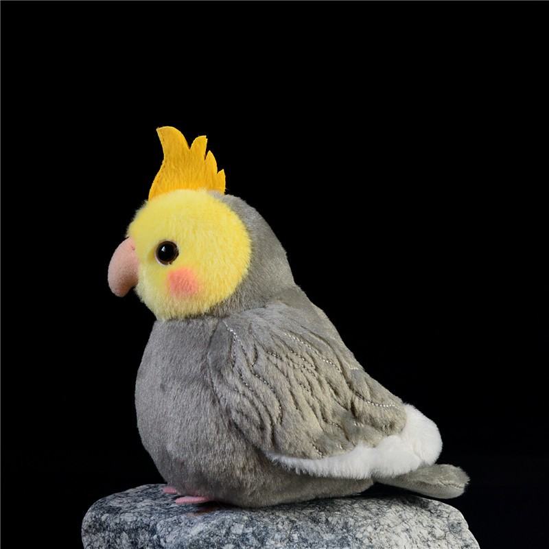 Plush Toys For Both Men And Women