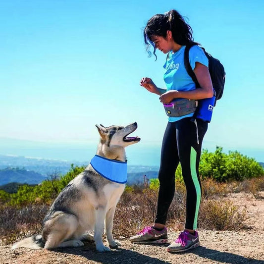 Breathable Sun Protective Cooling Pet Cooling Scarf