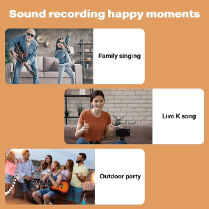 Wireless Bluetooth Karaoke Home Echo System Singing Machine Dual Mic Speaker AU