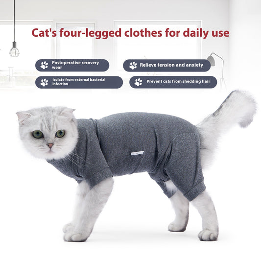 Cat Surgery Post Operative Recovery Four Legged Clothes