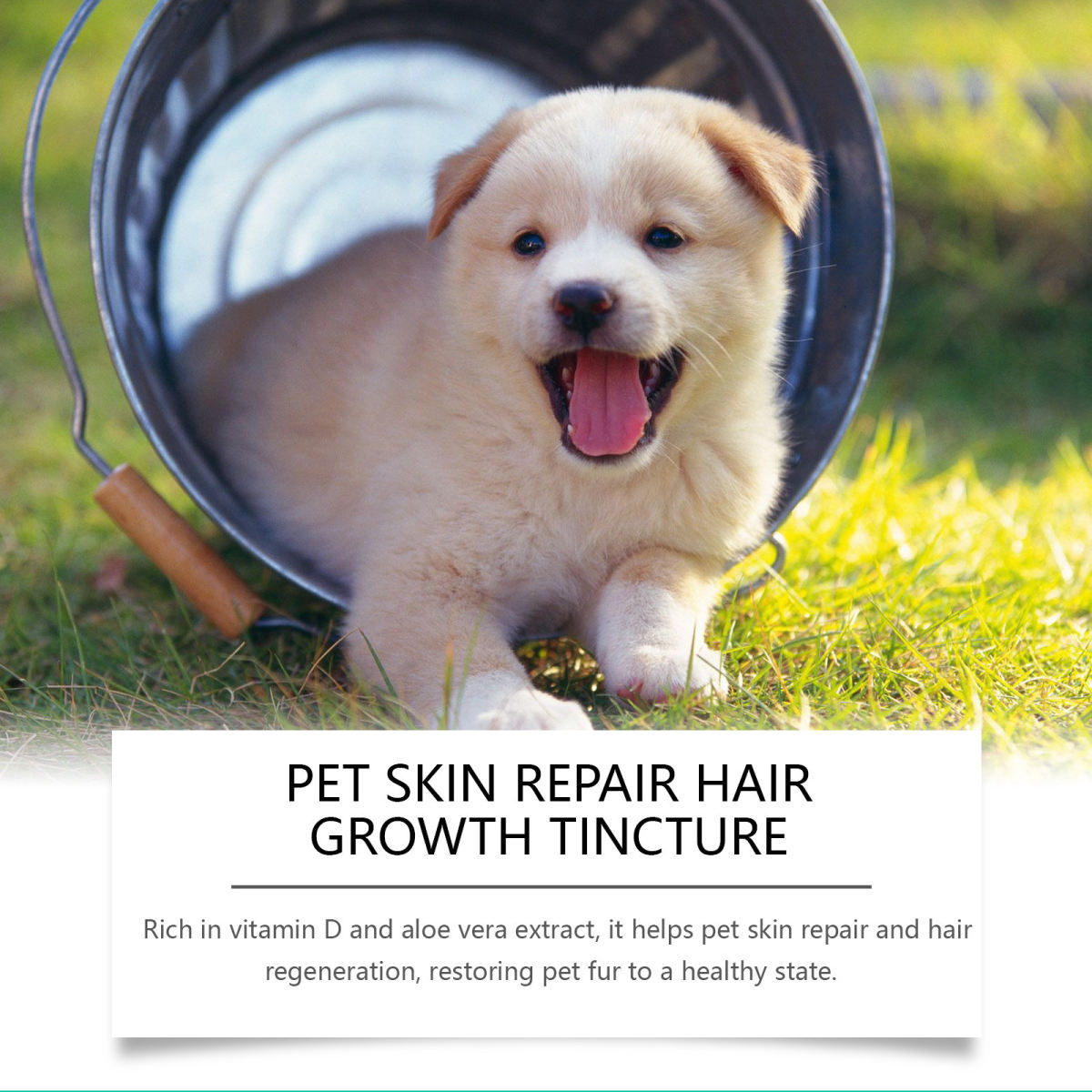 Nutritional Massage Drops For Pet Skin Repair