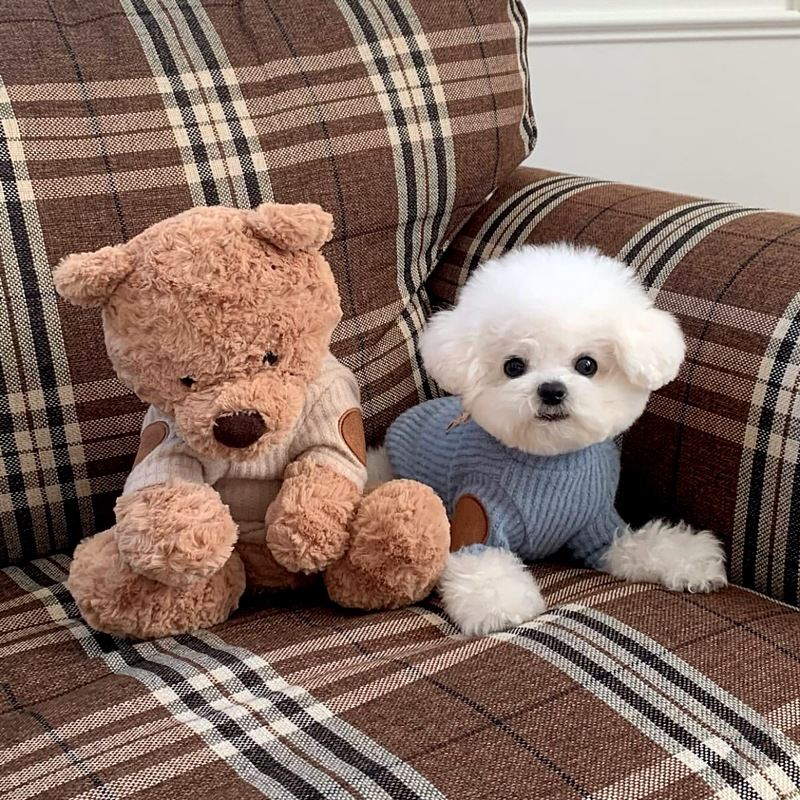 Knitted Base-Layer Shirt For Small Dogs, Pet Clothing