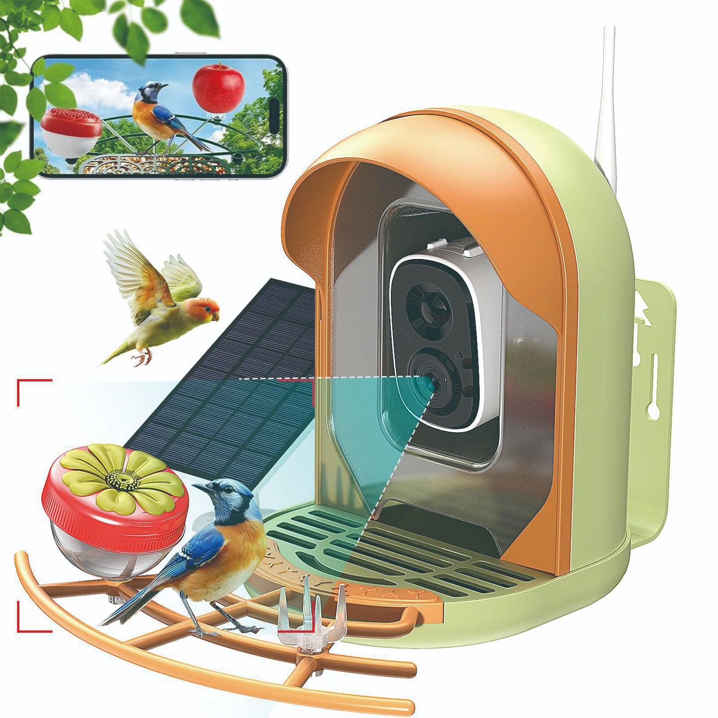 Smart Bird Feeder With AI-powered Camera Outdoor Solar Charging