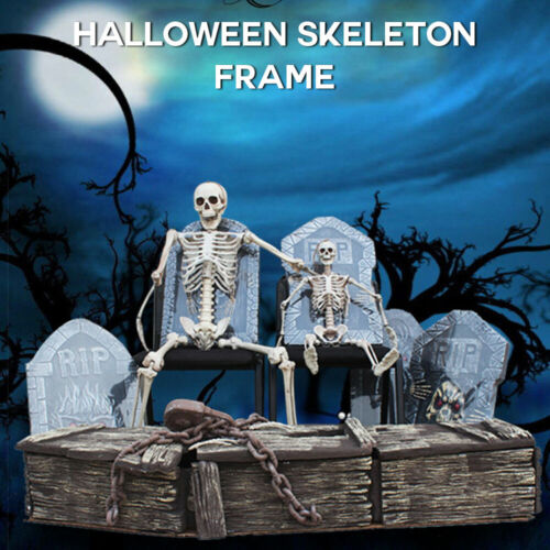 170cm Human Skeleton Life Size Skull Full Body Anatomy Model Halloween Medical