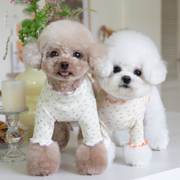 Floral-patterned Home Base-layer Pet Clothing
