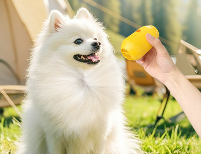 Multifunctional Hair Remover For Cats And Dogsperfect For Summer Hair Cleanup