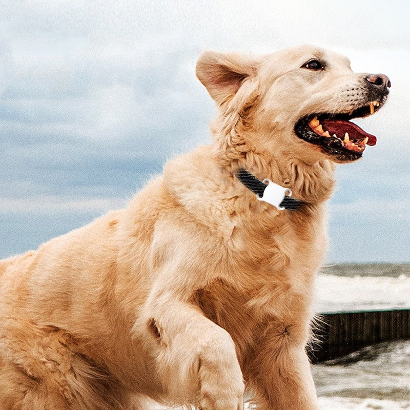 Smart Pet Locator Material ABS Bluetooth