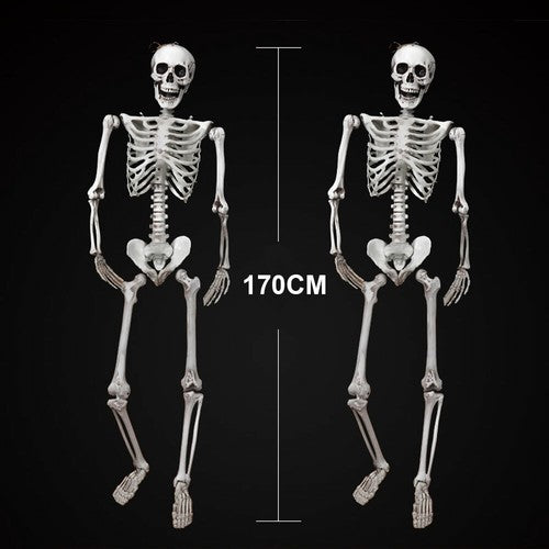 170cm Human Skeleton Life Size Skull Full Body Anatomy Model Halloween Medical