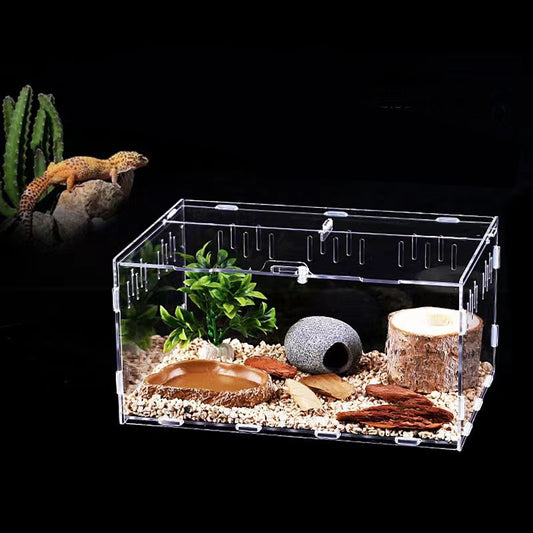 Crawler Pet Feeding Assembly Box