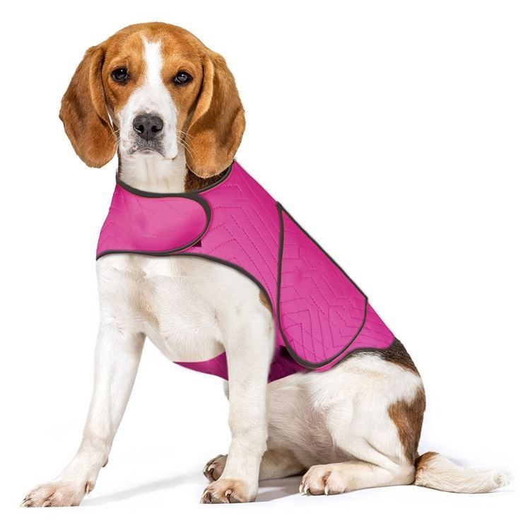 Pet Calming Clothes For Anxiety Relief