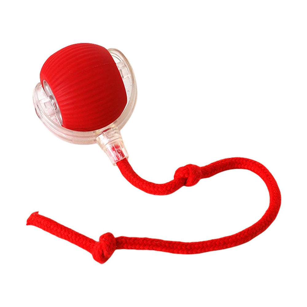 Electric Dog Cat Ball Toy,Indoor Large And Small Cat Dog Interactive Intelligent Rolling Pet Ball