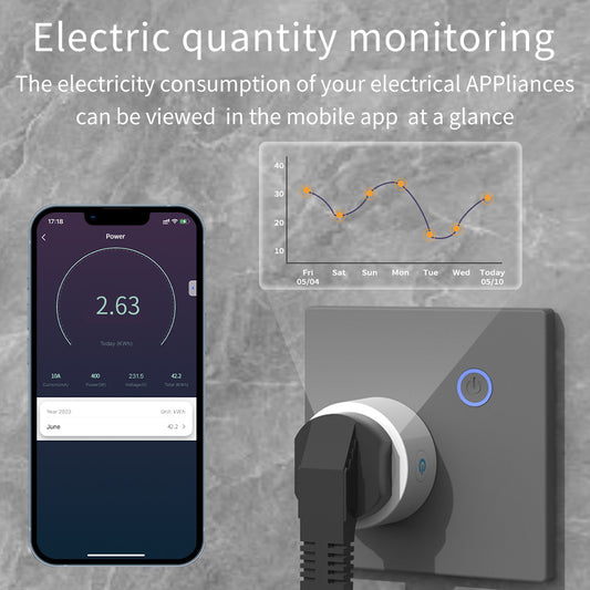 Supports Remote Control Timed Onoff And Voice-activated Operation For Smart Home Outlets