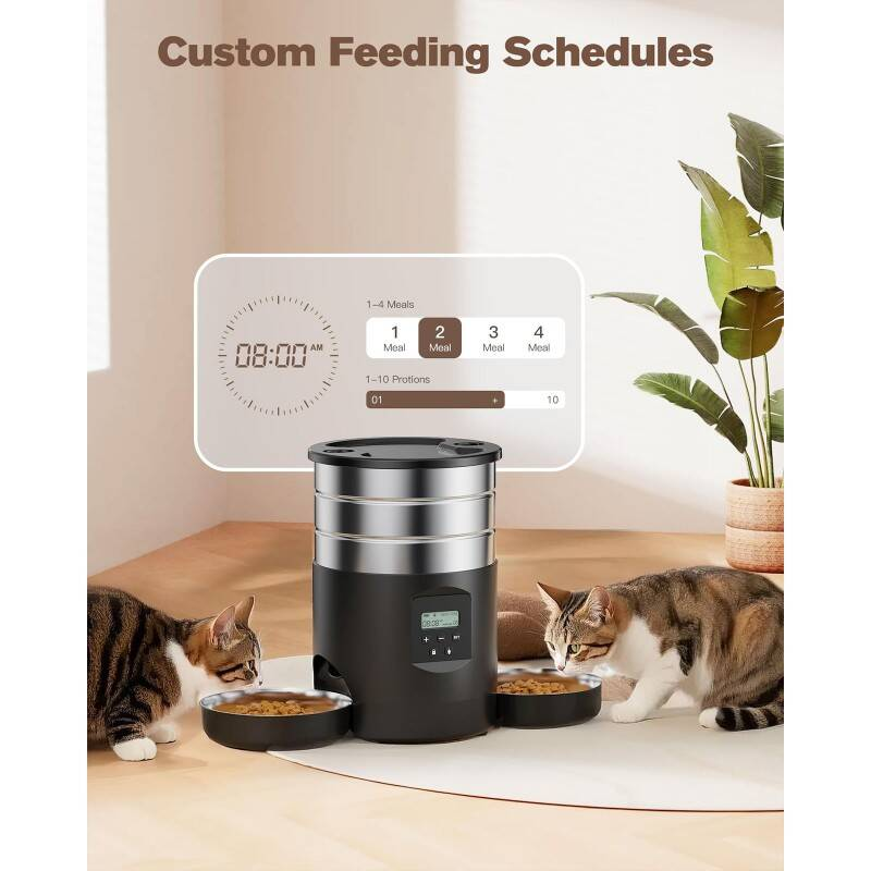 Dual Bowl Automatic Cat Feeder For Two Cats With Stable Anti Slip Design And Programmable Timer Offering One To Ten Portions Per Meal Transparent Locking Lid And Smart Dispenser For Both Dry And Wet F